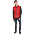 Tom Tailor Men's Quilted Half Sleeves Winter Jacket (Brazilian Red)