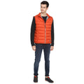 Tom Tailor Sleeveless Padded Puffer Jacket for Men